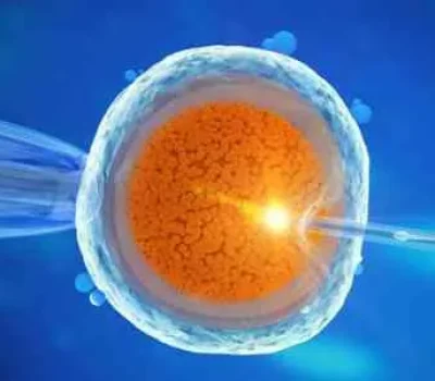 别把三代试管当男孩兑换机，性别准确率不等于活产成功率