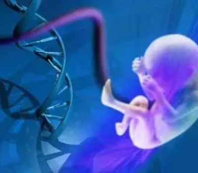 别被一次成功带进坑，第三代试管先查资质再看适应证