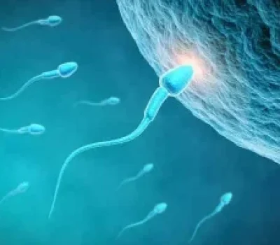 别被三代试管高成功率带偏，真正要看活产率和数据透明度