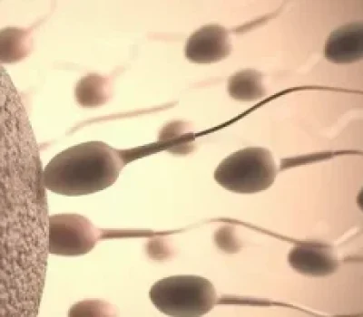 别被低嵌合百分比带偏，移植能否尝试要看染色体、胚胎和宫腔条件