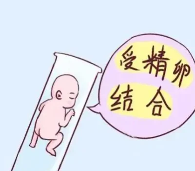 别被榜单上的高活产率割韭菜，做三代前先查资质问清适应证