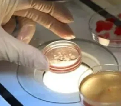包生男孩”真相揭秘：低价全包背后，可能是定金陷阱与层层加价