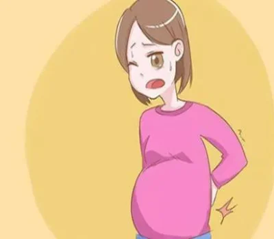 包生男孩套餐从八万八到二十多万，合同里却找不到承诺