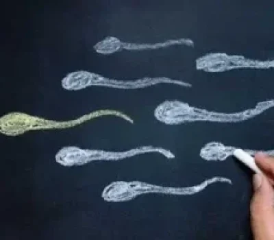 第三代试管不是包成功，9枚卵为何最后只剩1枚可移植胚胎