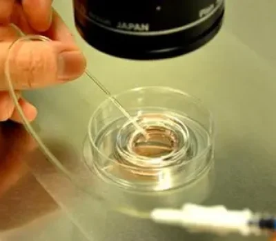 第三代试管不是包成功，私立机构这笔隐形成本更该问清