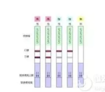 第三代试管不是百分百保险，别把降低遗传风险当成包健康