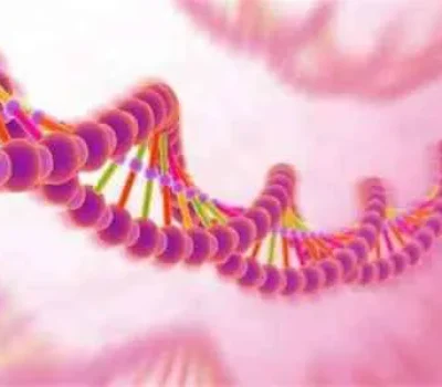 平衡易位做三代试管别只看成功率更要问活产率和失败预案