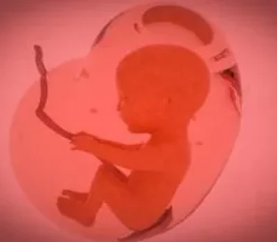 敢打第三代试管广告的私立机构为何不等于具备胚胎检测资质
