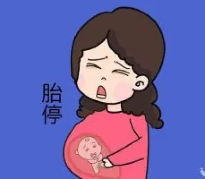 第三代试管不是成功保证书，别让高成功率广告收走智商税