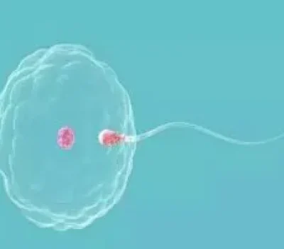 第三代试管不是流水线，低价起步和包成功话术背后藏着哪些坑