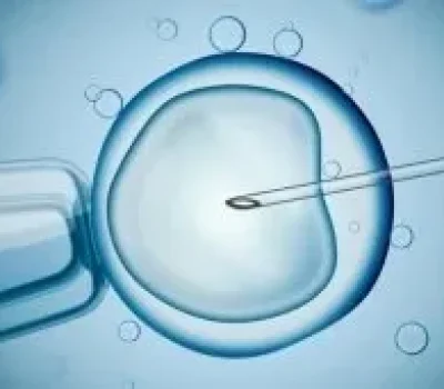 第三代试管不是生男生女自助餐，包男孩话术背后往往先掏空钱包