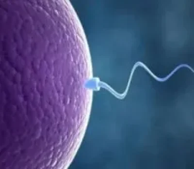 第三代试管不是许愿池，警惕私立机构用包成功和选性别收割焦虑