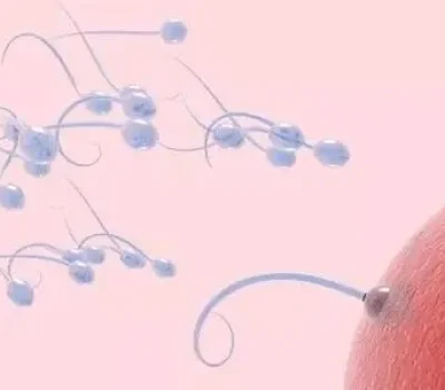 第三代试管私立机构报价藏着哪些坑，十万元只是起步不是包成功