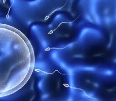 第三代试管能筛出聪明孩子吗别让生育焦虑变成贵价出口