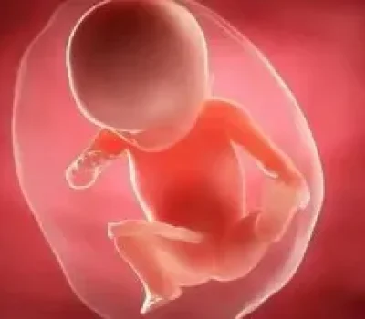 花十几万做第三代试管，报告写未见异常并不等于孩子没有遗传病
