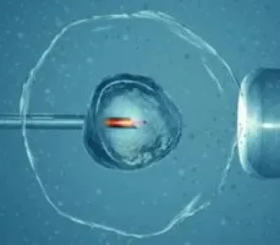 三代试管不是买来的医学特权，私立机构的全包套餐要逐项问清