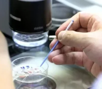 三代试管不是越贵越好，别让生育焦虑变成高端套餐的收费口