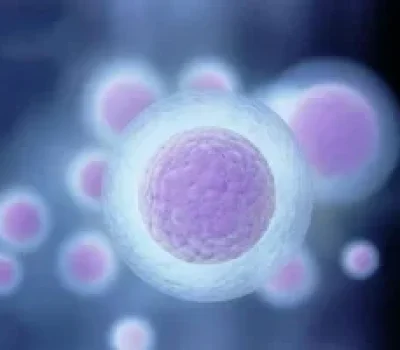 三代试管低价套餐为何越做越贵，签合同前先问这3件事