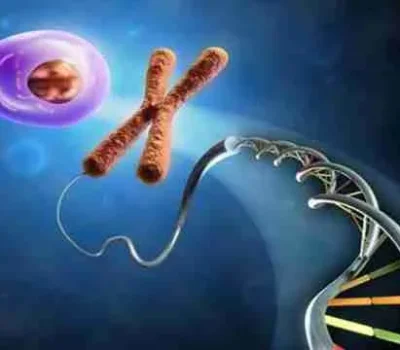 三代试管低价宣传藏猫腻，真正要防的是收费不透明和包成功话术