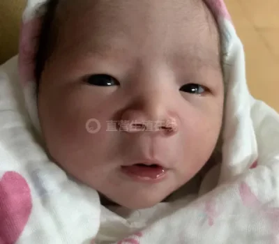 45岁失独夫妻借卵试管成功迎来宝宝，但这条路并非人人都能复制