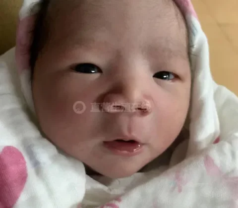 45岁失独夫妻借卵试管成功迎来宝宝，但这条路并非人人都能复制