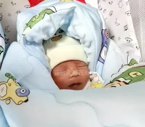 白血病不是生育禁令，但能做试管不等于现在适合怀孕