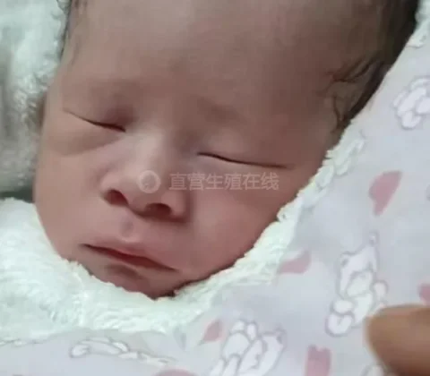地贫携带者想生健康宝宝，三代试管能做什么不能做什么