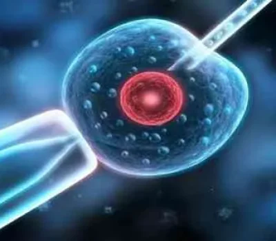 三代试管七成成功率靠谱吗先看清怀孕着床还是活产俺去也