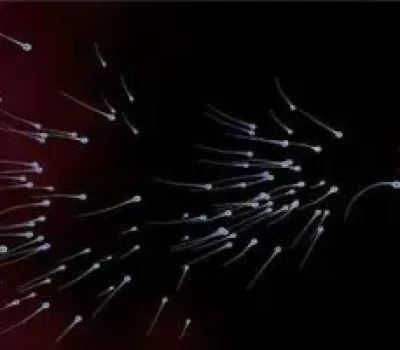 三代试管十万元只是起步，私立机构报价单里最容易忽略的收费陷阱彩票注册