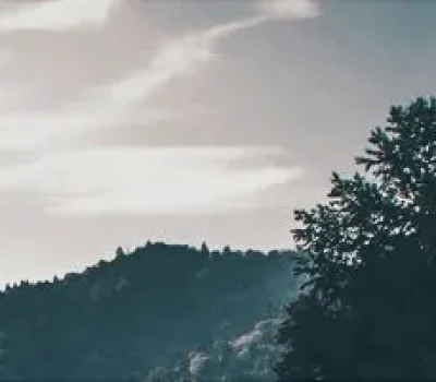 三代试管想马上移植？别被快速通道带偏，送检后未必有可移植胚胎