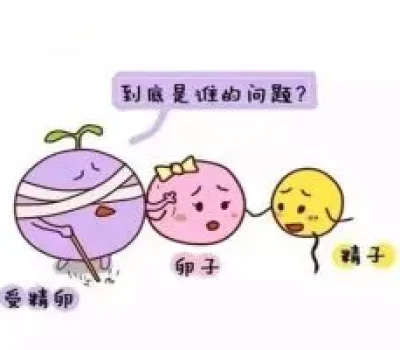 做试管别被九成成功率催着交钱，先查资质和收费边界