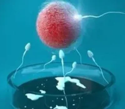 十几万包生女孩靠谱吗别把生育焦虑买成一张收据