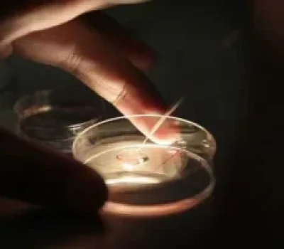 私立三代试管别先看价格，四件事没问清就别交定金