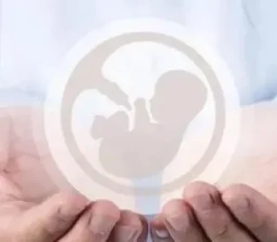私立试管别被成功率带偏先看分母和最终活产率