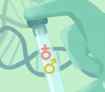 乳腺增生不等于试管失败，别让焦虑营销替你决定是否进周
