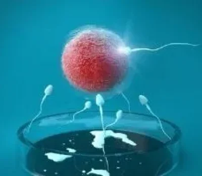 二代试管不是成功按钮，私立机构敢不敢把成功率分母说清楚