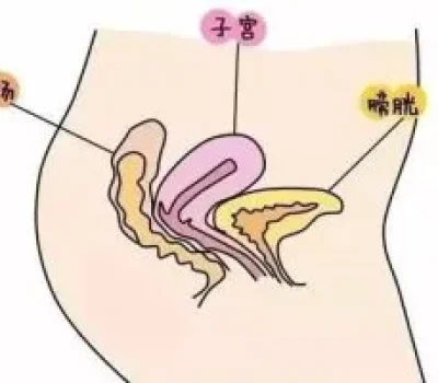 二代试管六成成功率靠谱吗关键要看分母和活产数据