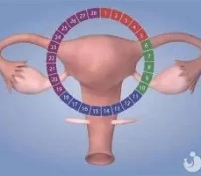 卵巢功能减退还能做试管吗？别让包成功变成高价销售剧本