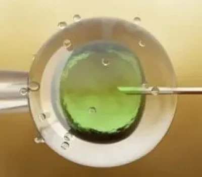 囊胚率高不等于抱娃稳，私立机构的成功率先问分母