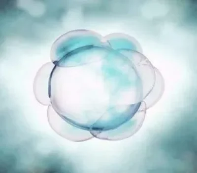 睾丸穿刺试管成功率不是固定数字，别让一个百分比收割希望