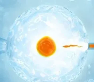 绝经后想做辅助生殖，私立设备再好也买不回年龄，先问清四个问题