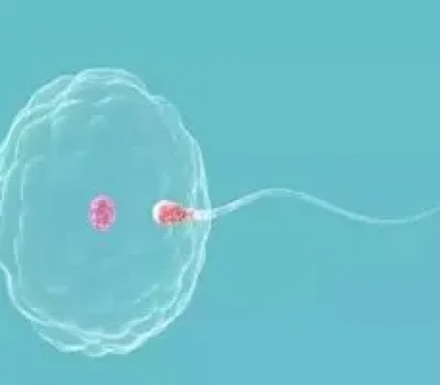 深圳私立试管TOP3靠谱吗？先看成功率分母和活产数据