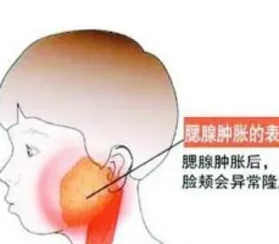 深圳私立试管别被六成成功率带偏，先看清统计口径和自身条件