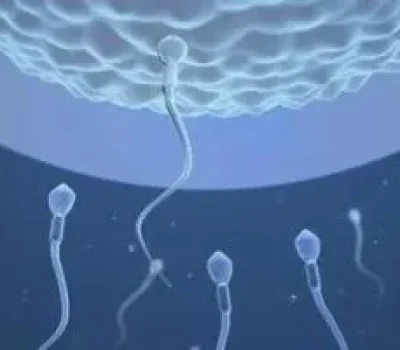 试管一代二代三代不是升级打怪，越贵不等于越容易怀孕