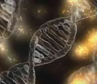 试管一次成功别只看宣传数字先查清成功口径和失败风险