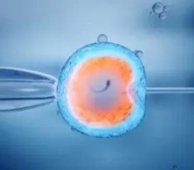 试管一次成功率不是承诺，先看懂三个关键变量和统计口径