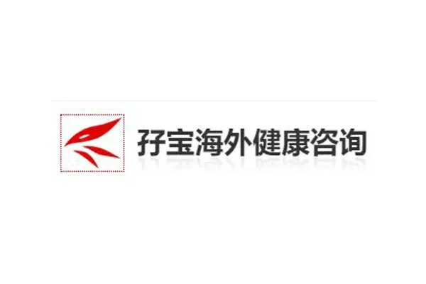 孖宝海外医疗
