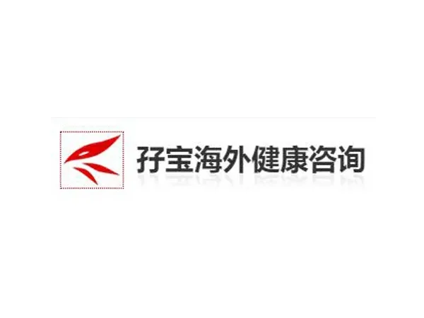 孖宝海外医疗