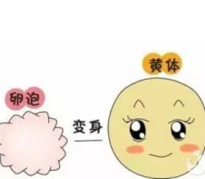 补佳乐不是保胎神药，药吃得越多并不等于越稳