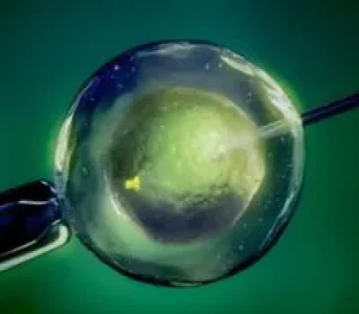 赴美试管避坑指南：包成功和低价中介可能才是最大的风险
